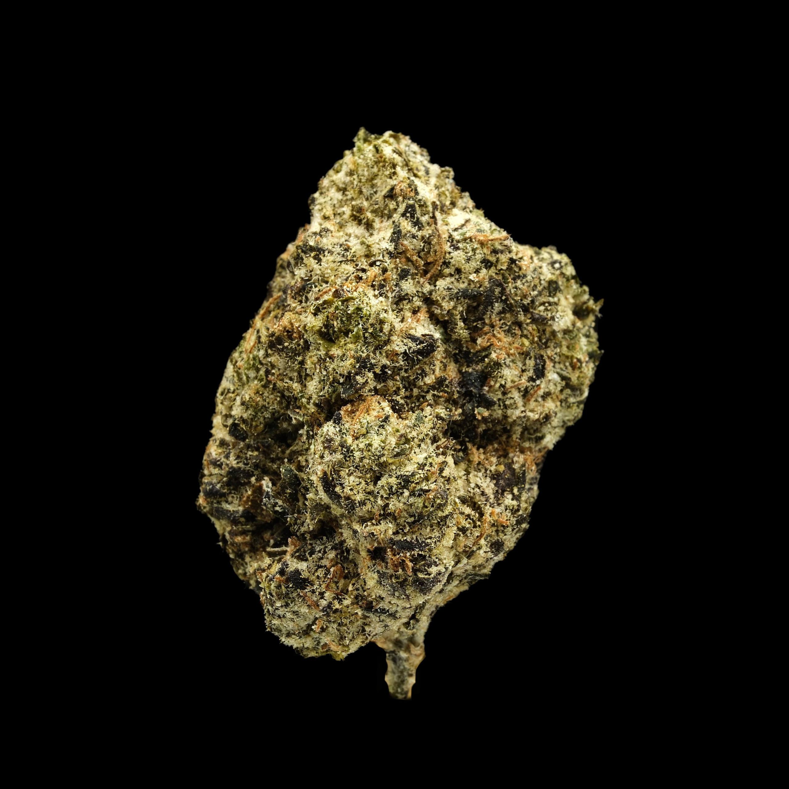 Lemon Cherry Gelato